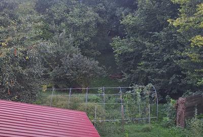Casă cu 4 camere cu Teren 994 Mp în Ghioșești