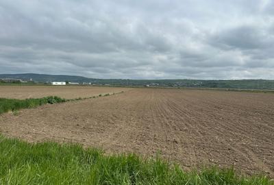 Teren Construcții extravilan de 18500 mp, în Șelimbăr - 3