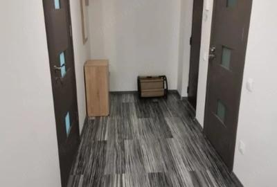 Apartament cu 2 camere semidecomandat în Tudor - 6