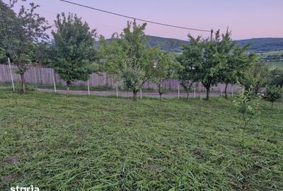 Teren de 740 mp, în Tomești - 11