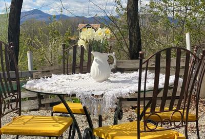 Proprietate Breaza de vis , zona de vis , prezentarea agentului , de vis Proprietate Breaza de vis , zona de vis , prezentarea agentului , de vis - 38