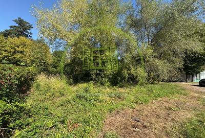 Teren intravilan de vanzare | 617 mp | zona Padurea Dumbrava - 10