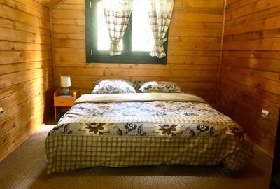 Casa din grinzi pe marginea paraului Borzont - 4