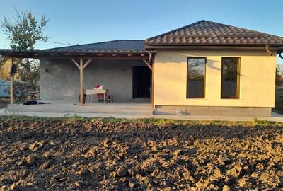 Casa de vanzare,sat Ceacu,comuna Cuza-Voda,judetul Calarasi - 3