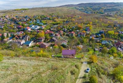De Vanzare Teren Intravilan de 1,000mp Iasi | Aleea Plopii Fara Sot De Vanzare Teren Intravilan de 1,000mp Iasi | Aleea Plopii Fara Sot - 4