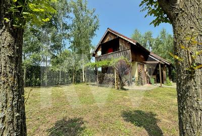 Cabana rustica de vis pe Valea Avrigului – un colt de rai in mijlocul naturii - 3