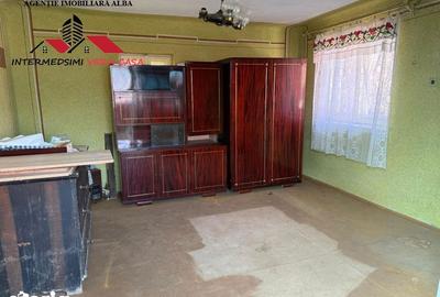 Casă cu 4 camere cu Teren 7701 Mp în Vințu de Jos - 3