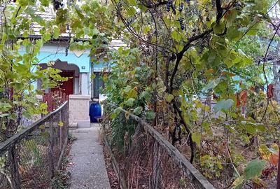 Casă cu 5 camere în Caracal - 6