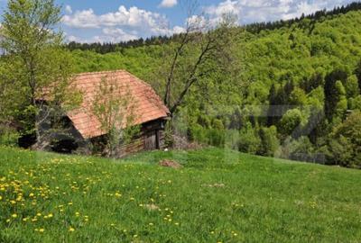 Teren intravilan 3400 mp, in Balaban - Simon, Bran - Brasov - 15