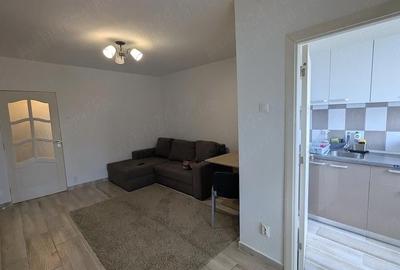 Garsonieră semidecomandată în Pantelimon - 10