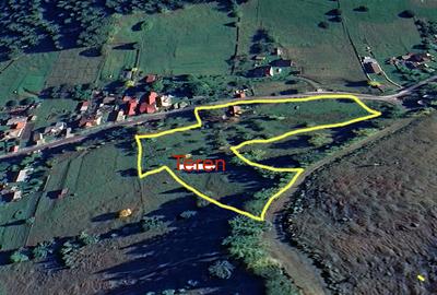 Teren Construcții intravilan de 8000 mp, în Pojorâta - 4