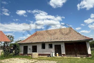 Casă cu 3 camere în Parhida - 4