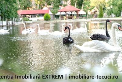 Pensiune, restaurant, bar, iaz, păstrăvărie, la GHIDIGENI, Galați - 8