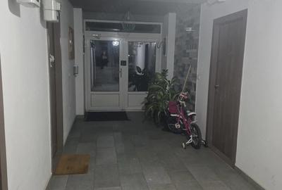 Apartament cu 2 camere decomandat, mobilat în Giroc - 7