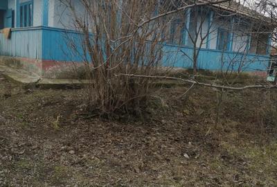 Casa batraneasca in Sat Jijia com Albesti - 2