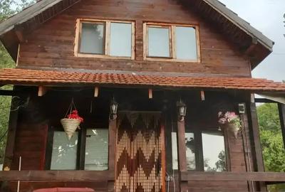 Casă cu 2 camere în Sibișel (Beriu) - 8