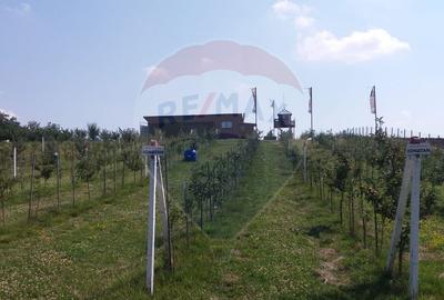 Vanzare teren Livada - Ferma Arges - Izbasesti / DN 142 langa Pitesti - 2