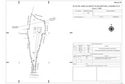 Casă cu 5 camere cu Teren 5950 Mp în Nord - 3