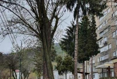 Garsonieră decomandată în Petrila - 2