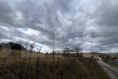 Teren de vanzare perfect pentru investitie in Babutiu Teren de vanzare perfect pentru investitie in Babutiu - 3