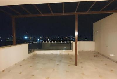 Penthouse cu 2 camere decomandat în Ghencea - 12
