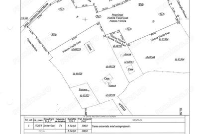 Vand Proprietate (casa, ?ura ?i teren) in Valea Bradului, Mun. Brad, Jud. Hunedoara - 2