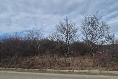 Teren de 2160 mp, în Sigmir - 3