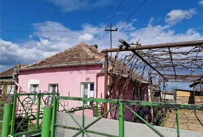 Casă cu 1 camere cu Teren 2676 Mp în Șimian - 20