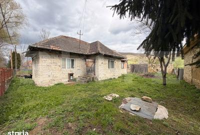 Casă cu 2 camere cu Teren 2600 Mp în Vultureni - 3