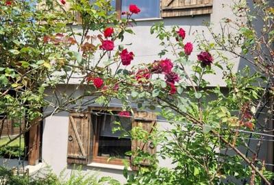 Casa ultrafinisata in mijlocul naturii, gradina amenajata, Gilau - 4