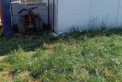 Vand cabana Maguri - 5