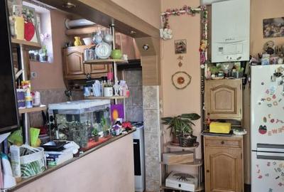 Baia Sprie, casa cu etaj ,10 ari teren - 3