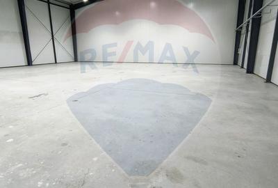 Spațiu industrial hala 572 mp de inchiriat - 12