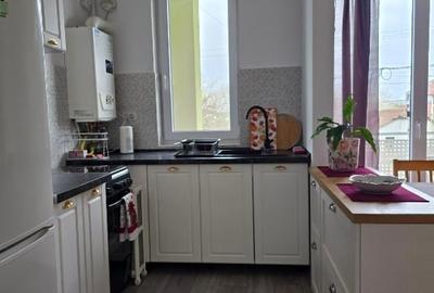 Apartament cu 2 camere semidecomandat, mobilat în Giroc - 3