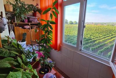 Apartament 2 camere mobilat, utilat de vanzare - 4