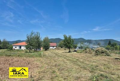 Merisor, 30 ari teren parcelabil - 2
