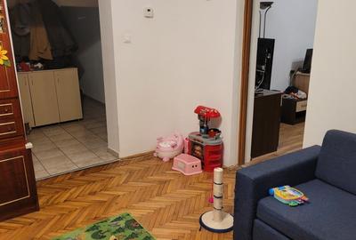 Vanda casa in Timisoara - 3