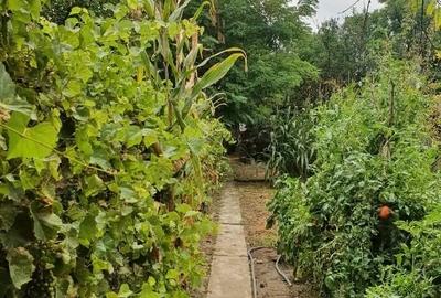 Casă individuală cu 4 camere cu Teren 570 Mp în Adâncata - 5