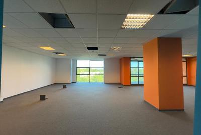 Spatii birouri, medicale 745mp, Tudor Center - 13