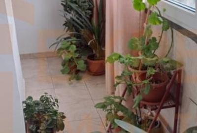 Apartament 3 camere decomandat, in zona City Park Mall - Constanta - 7