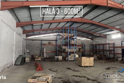 Spațiu comercial, de 500 mp, în Petros - 3