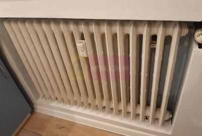 Inchiriere 2 cam Valea lunga - 400 eur - 19