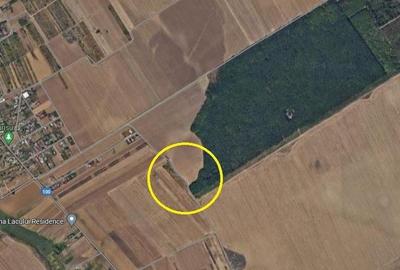 Teren agricol extravilan de 7961 mp, în Frumușani
