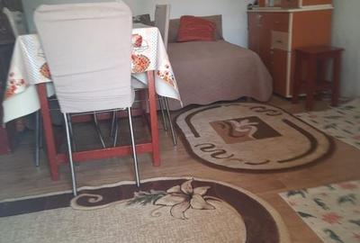 Casa Parter+Pod 90 mp+anexa 60 mp + atelier + teren intravilan 1600 mp - 9