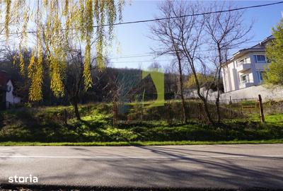 Teren de 4542 mp, în Bucovăț - 5