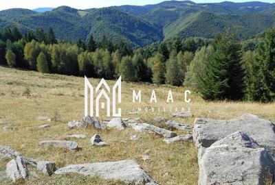 Teren Extravilan | 19.593 MP | Zona Saliste - 3