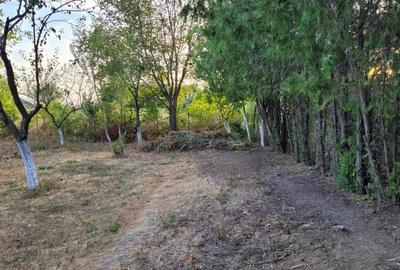 REL4000842 De vanzare teren intravilan 1000 mp. Corbeanca - 11