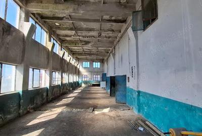 Spațiu comercial, de 550 mp, în Tătaru - 5