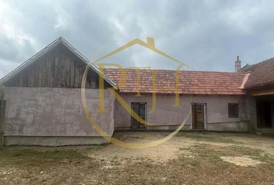 Casă cu 6 camere cu Teren 2160 Mp în Balinț - 1