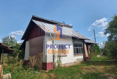 Casa Piscani, stradal, la DN, teren 8000 mp - 2